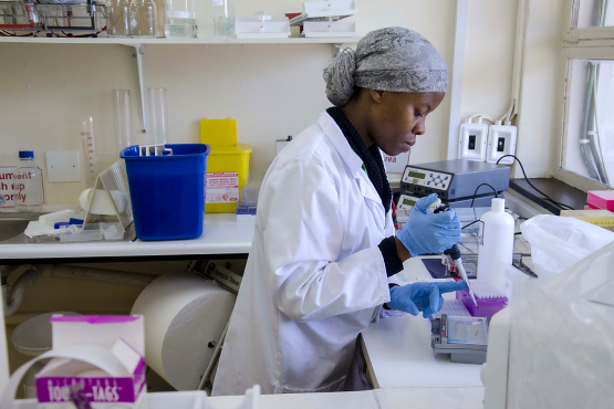 Ensuring Excellence in Clinical Trial Management: CRK-CRO’s Comprehensive Solutions