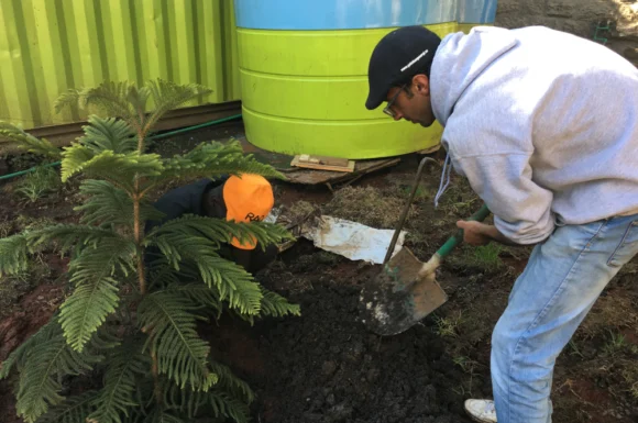 Environmental Sustainability