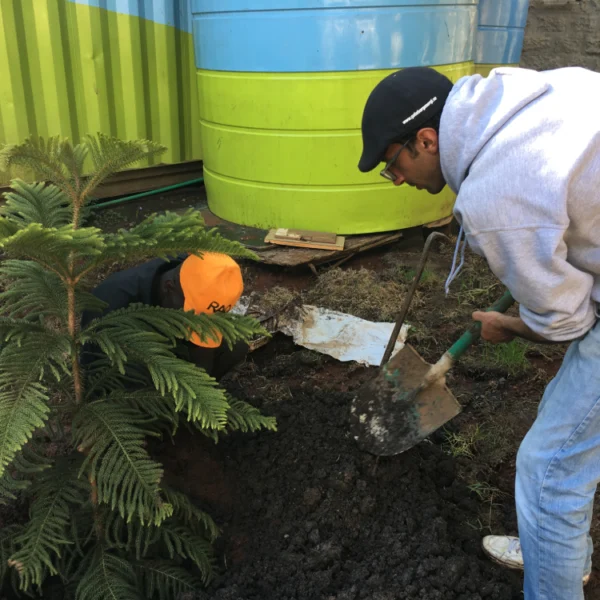 Environmental Sustainability